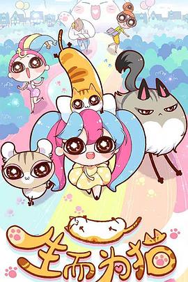 影视网站seo优化教程